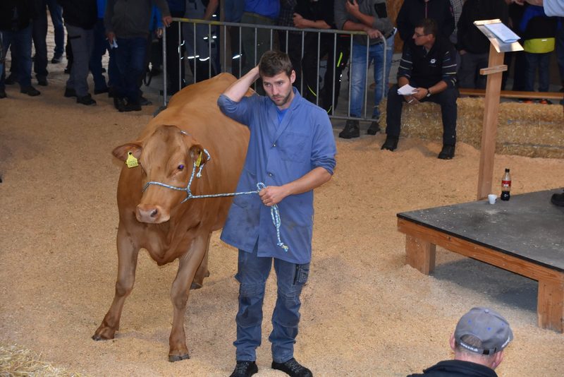 Gedrückte Preise an der Auktion Schüpbach: 4400 Franken galt Kohler Leandro Vreni