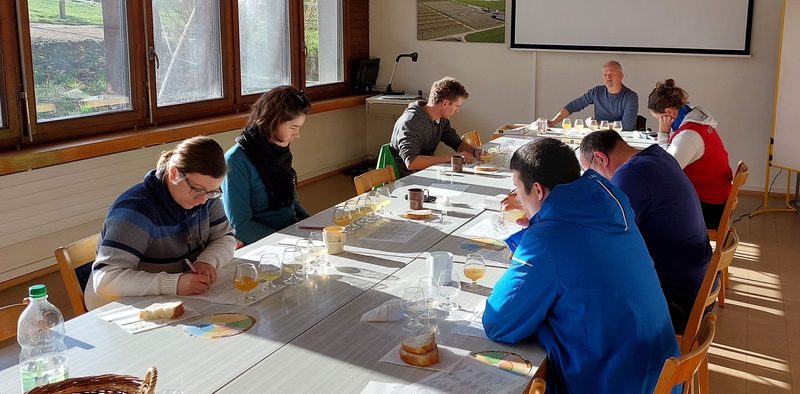 Grosse Vielfalt am Thurgauer Süssmost-Wettbewerb