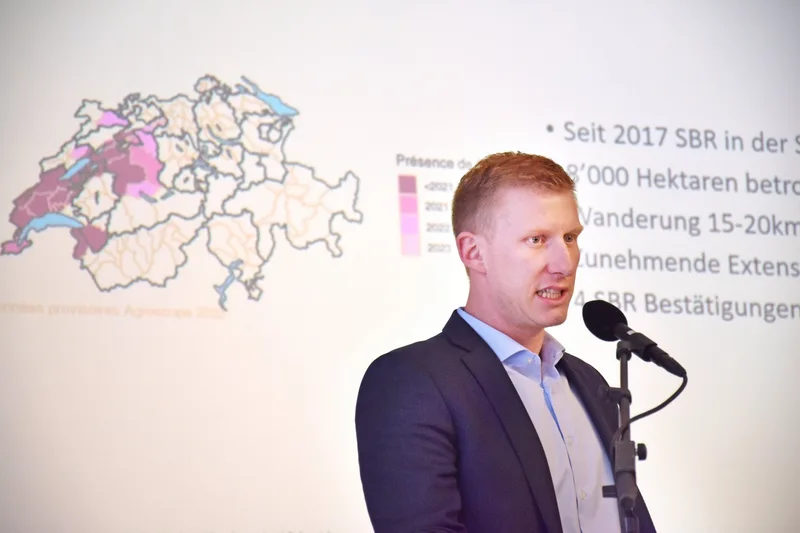 «Letztes Jahr war zum Vergessen»