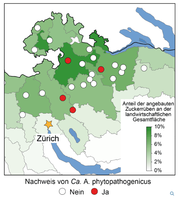 «Letztes Jahr war zum Vergessen»