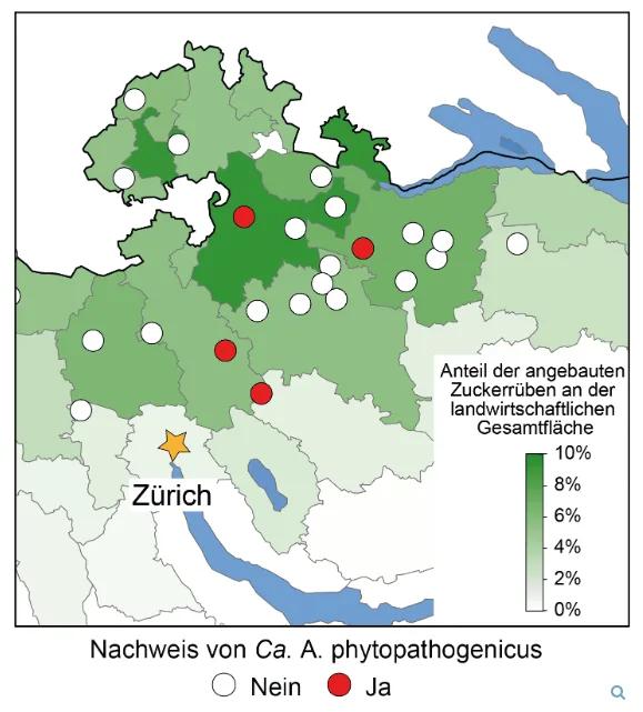«Letztes Jahr war zum Vergessen»