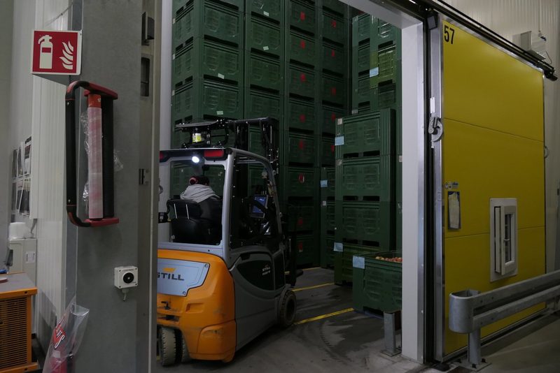 «Die Äpfel geben sich bei uns die Klinke in die Hand»