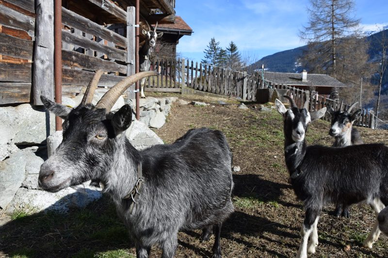 Porträt: Hier isst der Gast, was im Garten wächst