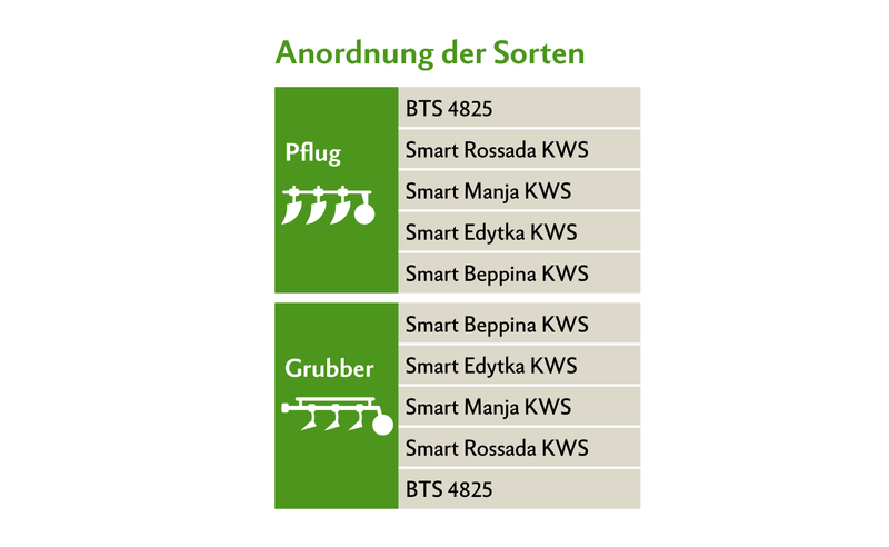 Eine Hälfte wird im Pflugverfahren und die andere mittels Mulchsaat angesät.
