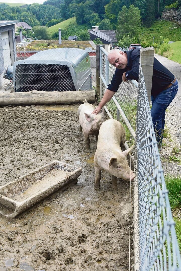 Zur Selbstversorgung werden beim Wohnhaus jedes Jahr auch noch zwei Schweine gehalten.
