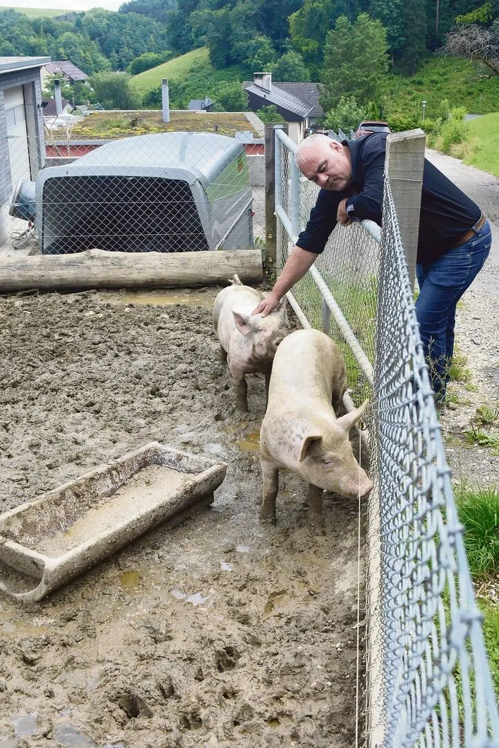 Zur Selbstversorgung werden beim Wohnhaus jedes Jahr auch noch zwei Schweine gehalten.
