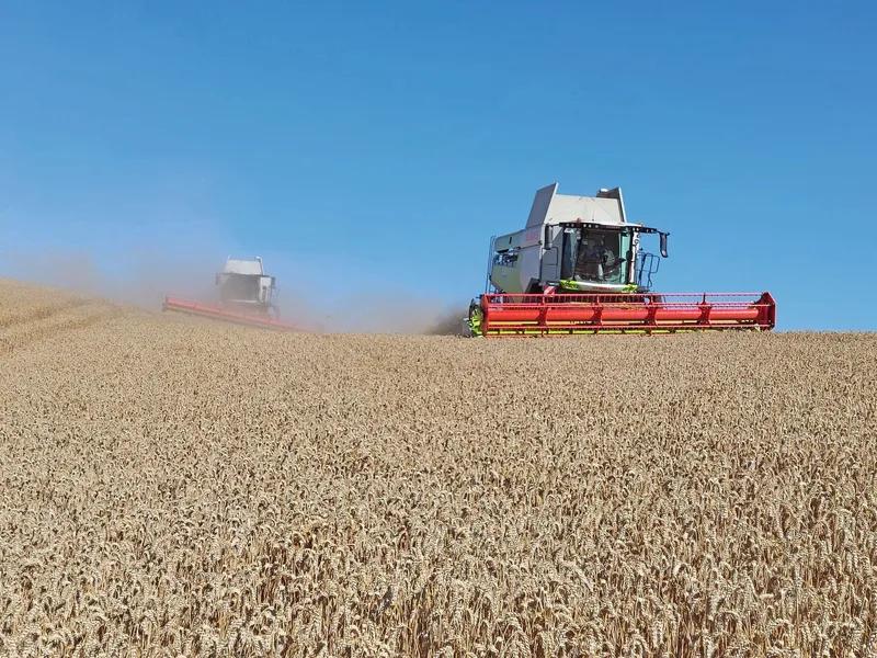Lexion-Montana Mähdrescher