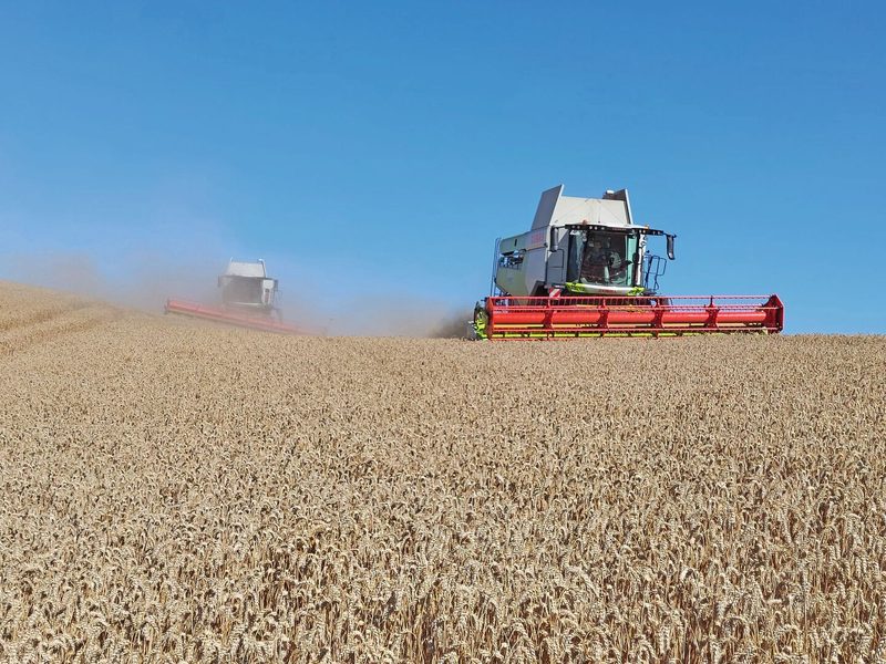 Lexion-Montana Mähdrescher