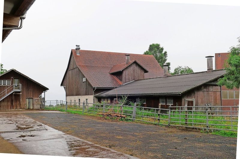 Sind die Pferde nicht auf der Weide, können sie sich auf dem 800 m2 grossen Allwetterauslauf frei bewegen. Dieser ist teils mit Beton, teils mit Ecoraster befestigt.