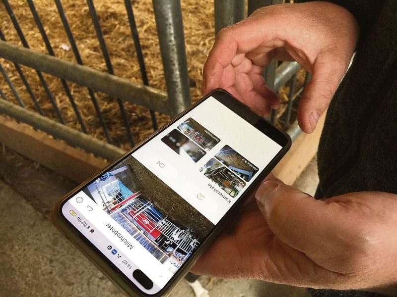 Der Stall ist mit vier Kameras bestückt. Beat Schär kann jederzeit auf dem Handy kontrollieren, ob alles rund läuft.