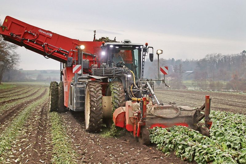 Bei der Ernte in Marthalen im Zürcher Weinland ist ein Spezialvollernter im Einsatz.