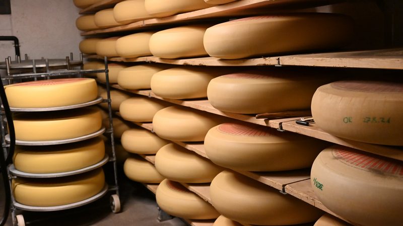 Käser Schenk und sein Emmentaler sind in Bestform