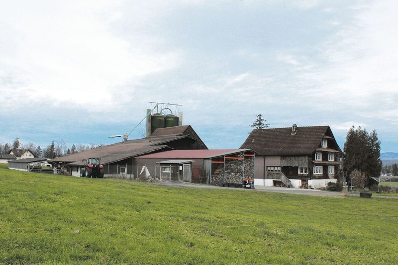 Der Ludihof ist vielseitig ausgerichtet: Rindermast, Legehennen, Acker- und Futterbau sowie Beeren und Früchte.