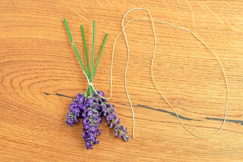 Der Lavendel wird mit einer Schnur zusammengebunden.