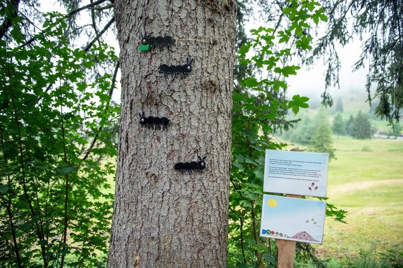Von der Spardose zum Kinderbuch