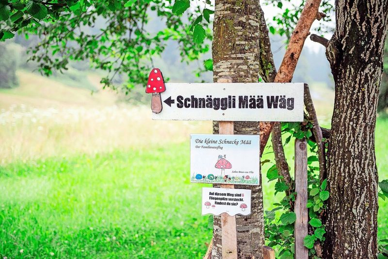 Start des Themenweges, mit dem Buchcover und einer ersten Holzfigur gekennzeichnet.