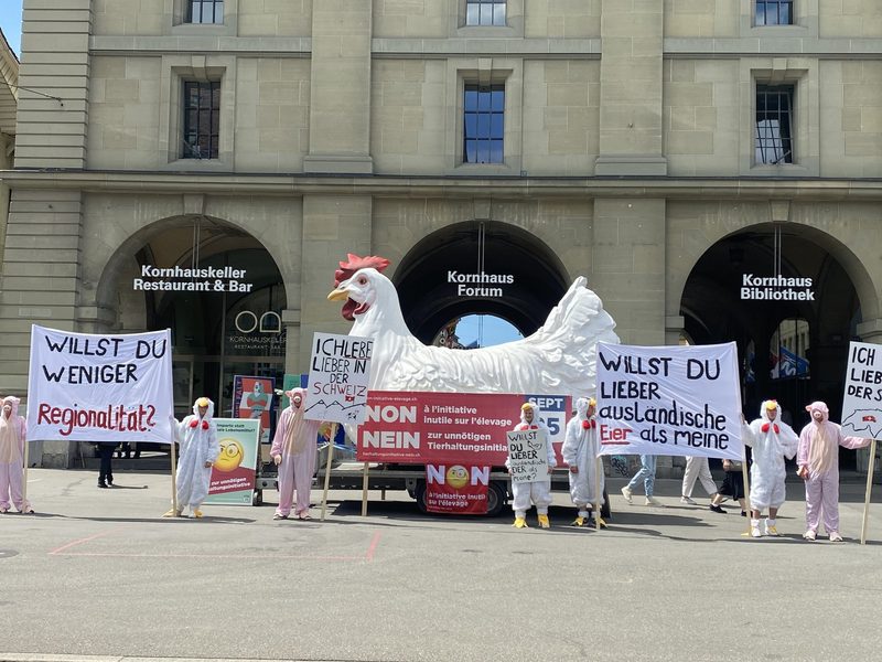 Nein-Komitee der Massentierhaltungs-Initiative lanciert Kampagne
