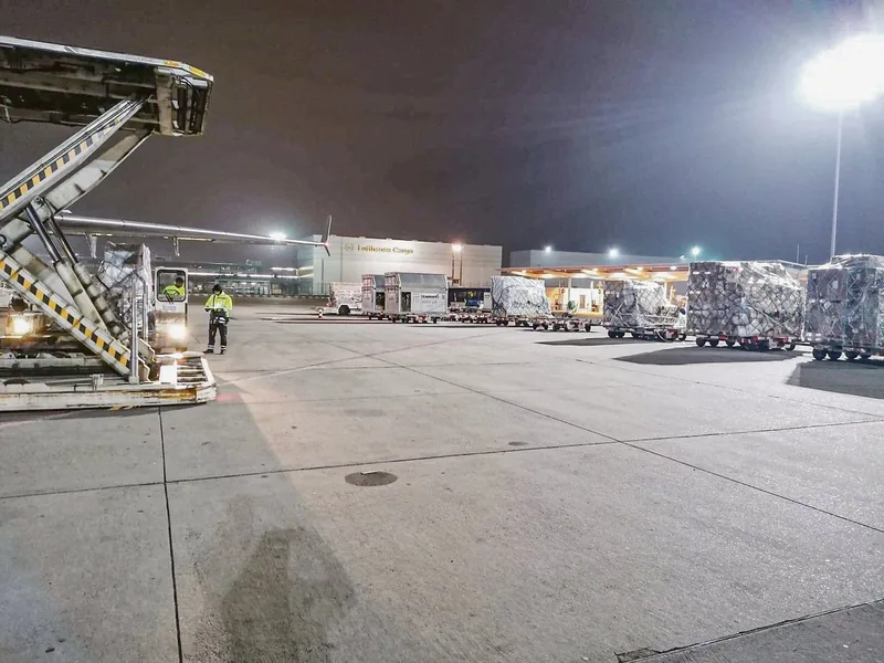 Diese Bild vom Verlad der Pferde entstand vor dem Abflug. Die Reise dauerte 21 Stunden. (Bild Egon Tschol))