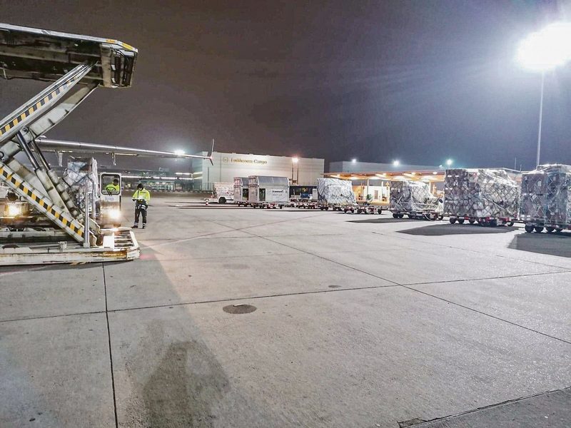 Diese Bild vom Verlad der Pferde entstand vor dem Abflug. Die Reise dauerte 21 Stunden. (Bild Egon Tschol))