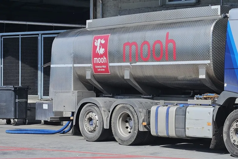 «Mooh wird nicht noch einmal den Winkelried spielen»