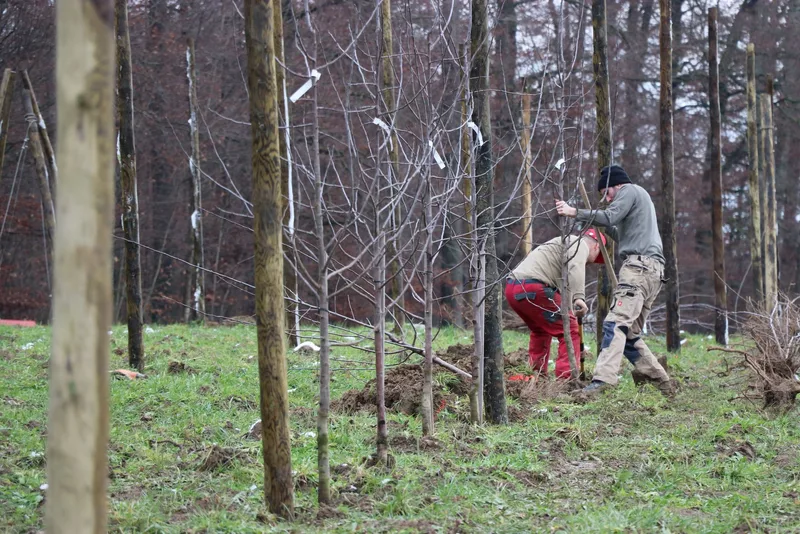 Ein gutes Obstjahr in schwierigem Umfeld für die Aargauer Produzenten
