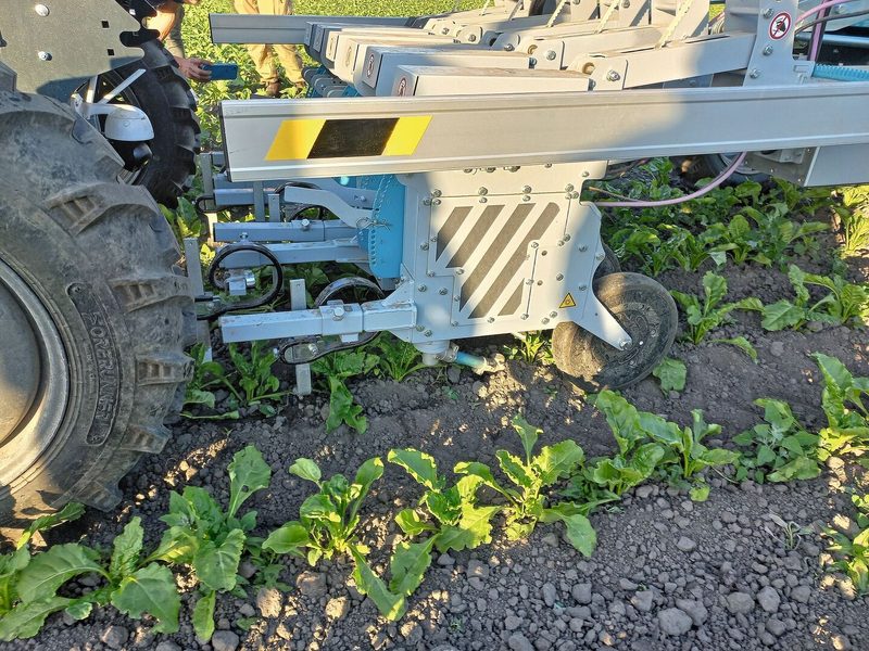 Der Roboter erkennt die Rüben mittels Kamera. Arm kann in der Reihe zwischen den Rüben das Unkraut rausgefräst werden.