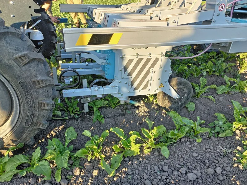 Der Roboter erkennt die Rüben mittels Kamera. Arm kann in der Reihe zwischen den Rüben das Unkraut rausgefräst werden.