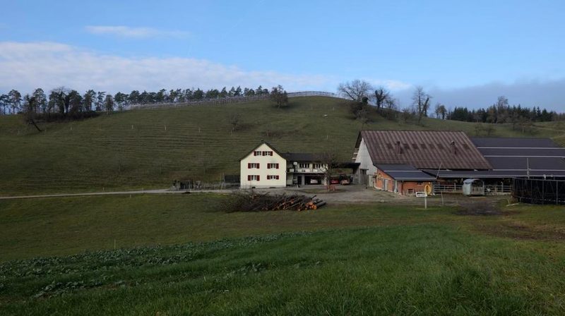 Video: So begegnet Landwirt Stefan Jegge dem Klimawandel
