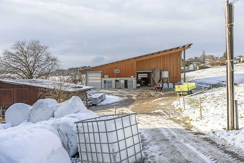 Aussenansicht: Der neue Stall ist zu grossen Teilen aus Holz gebaut und besitzt ein Pultdach. Vor dem Stall liegt Schnee.