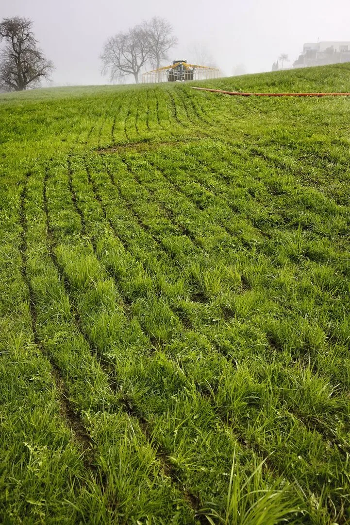 Die Rindergülle aus dem Winterlager ist oftmals sehr dick und kann zu Güllewürsten führen. Das Gras darunter kann ersticken und Güllereste können ins Futter gelangen.