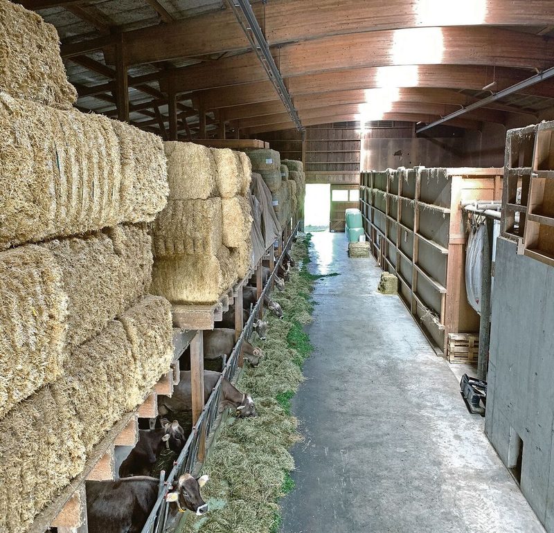 Blick in die lange Scheune mit Silos und Heuraum rechts. Die Fressachse kann per Kran bedient werden.
