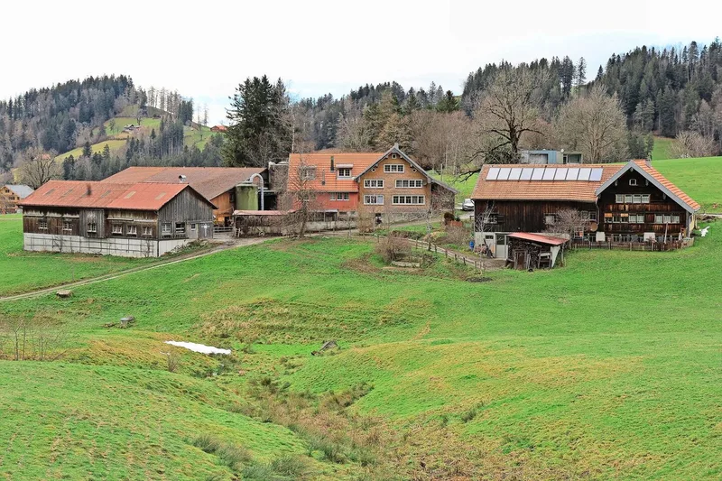 Der Hof Langenegg und seine Betriebs- und Wohngebäude liegt auf 1000 Metern über Meer im Appenzellerland.