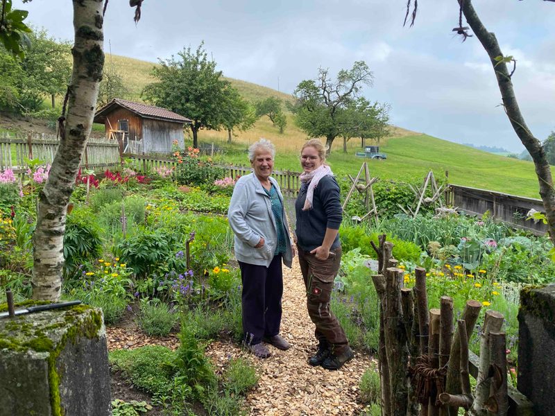 Seit dem Frühling 2021 arbeiten Marie Gerber und Anina Marbot zusammen im alten Bauerngarten. Im Frühling hat Marbot den kränkelnden Buchs durch Lavendel ersetzt. (Bilder jsc)