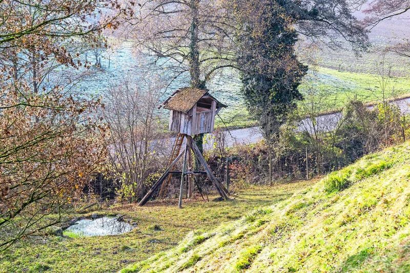 Die Tiere werden vom Hochsitz aus, welcher sich im Gehege befindet, geschossen.