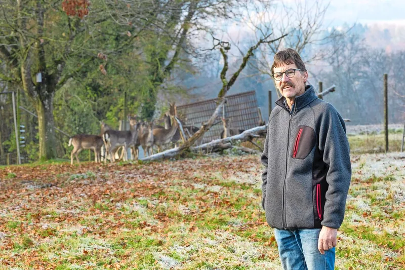 Hans Krähenbühl ist Hirschhalter und kümmert sich um bis zu 20 Tiere.