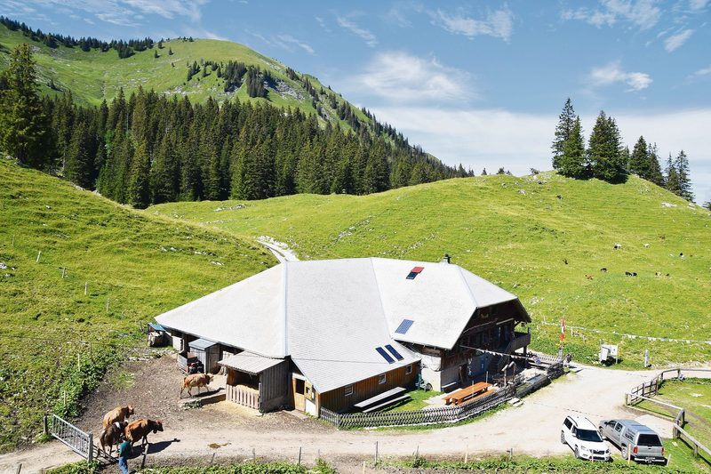 Die Alphütte der Alp Cerniets, liegt fast zuhinterst in der Breccaschlund auf 1525 m ü. M.