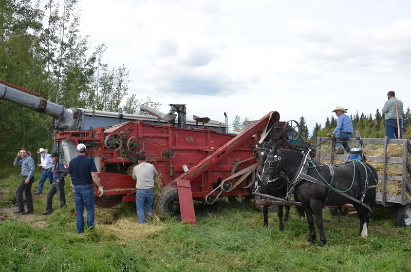 Die Getreideernte in Kanada dauerte drei Wochen