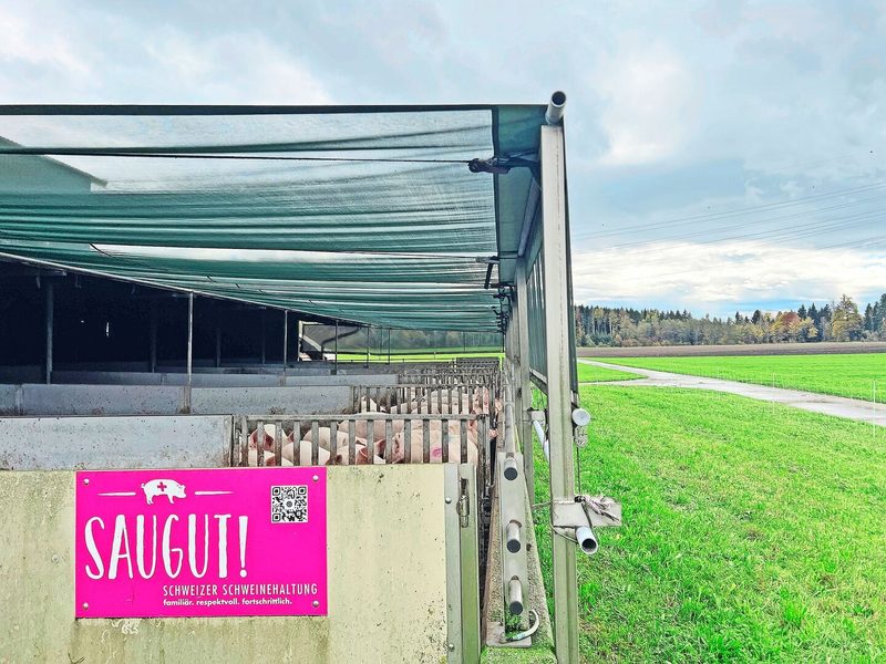 Gebaut wurde der Stall 2020 für das Label Coop Naturafarm. Heute werden die Schweine über IP-Suisse vermarktet.