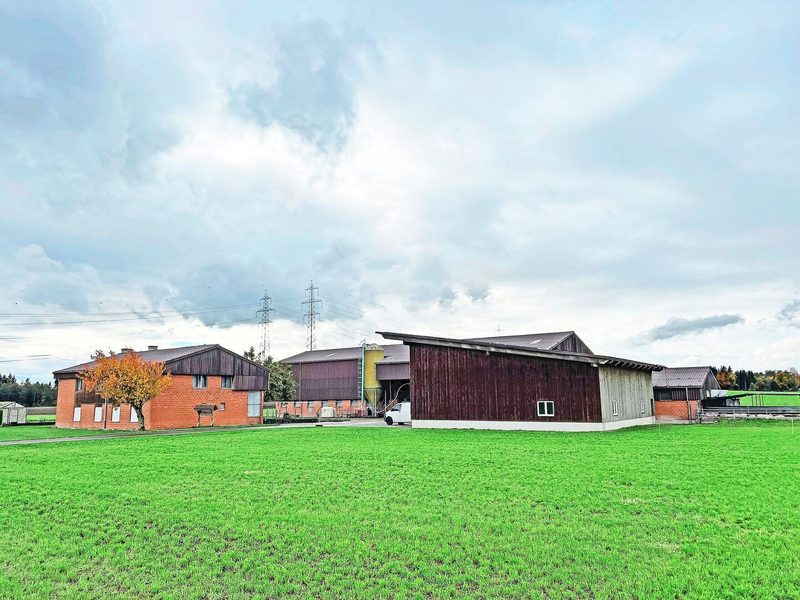 Der Rigihof mit Wohnhaus, Schweineställen und Remise.