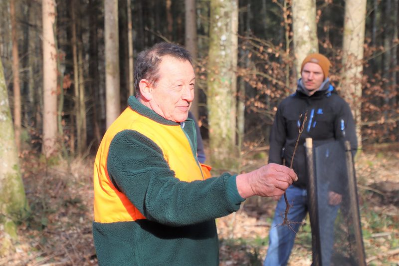 Die Wildensbucher Brennholzgant ist Männersache