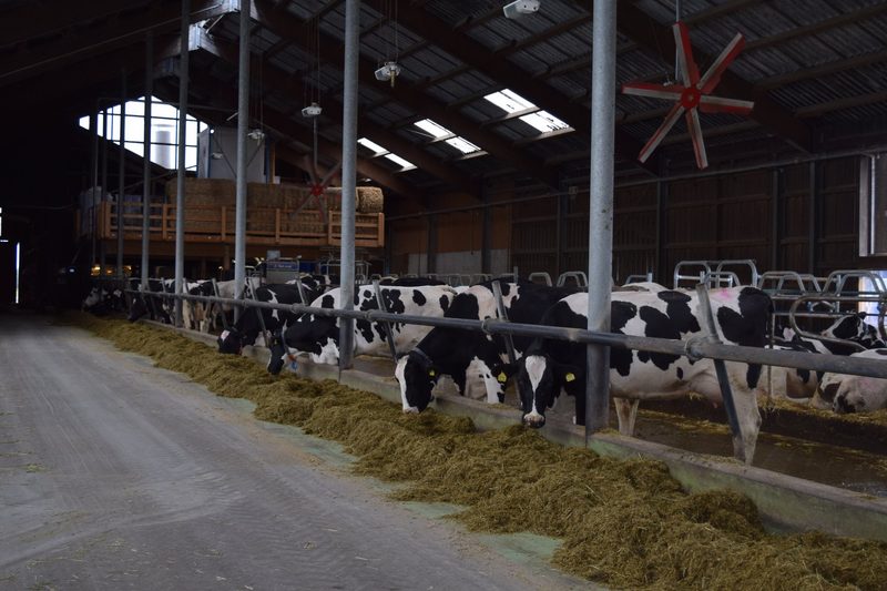 «Ohne Agroco2ncept wäre die Agrarpolitik praxisfremder»