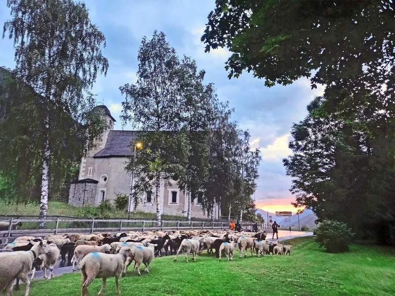 Beim Gang durchs Dorf sind auch schon Schafe ausgebüxt. Dabei hat sich der Dorfpolizist als geschickter Schaffänger erwiesen.
