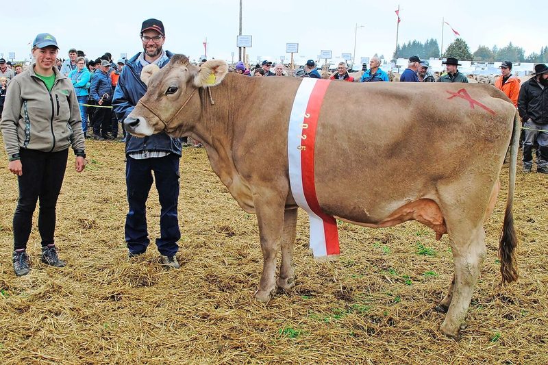 Joel Jacinta von Bernhard Gisler wurde in Einsiedeln Miss OB und Schöneuter-Siegerin OB.