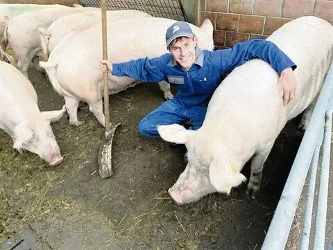 Dominik Rolli ist auf seinem Betrieb für die 60 Mutterschweine zuständig.