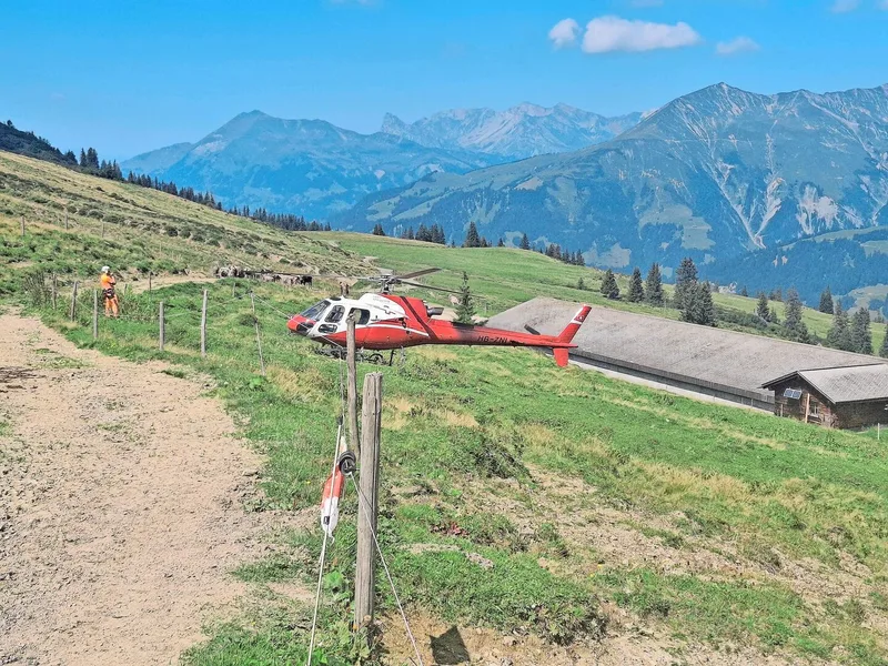 Kurz vor der Bergung von Kuh Flurin landet der Helikopter in der Nähe der Alpgebäude.