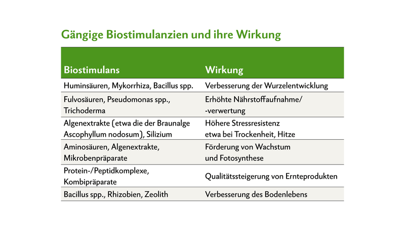 Wie wirkungsvoll sind Biostimulanzien wirklich?