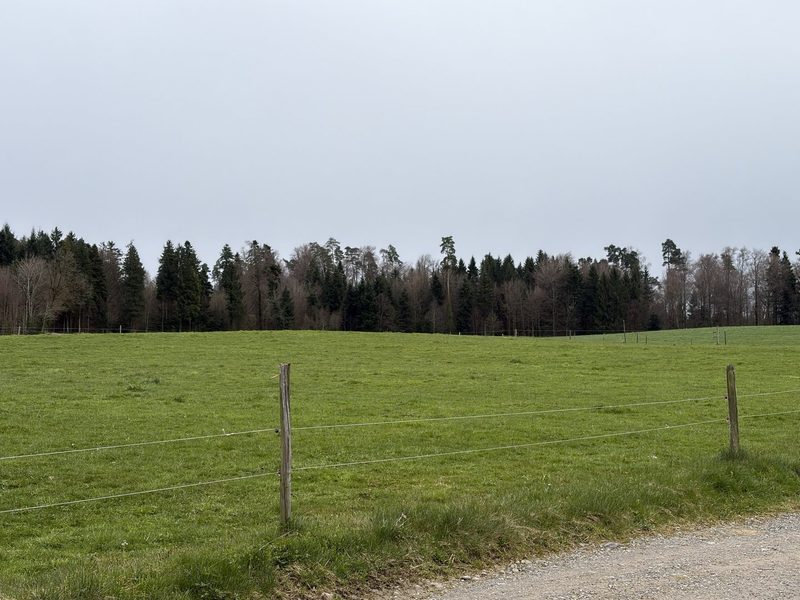 Weniger Tierarzt dank Kräutern? Zürcher Betrieb macht es vor