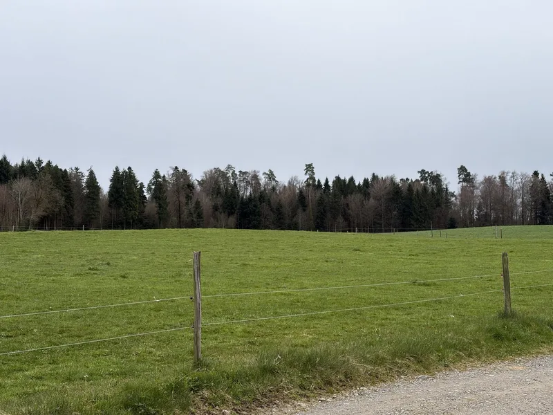Weniger Tierarzt dank Kräutern? Zürcher Betrieb macht es vor