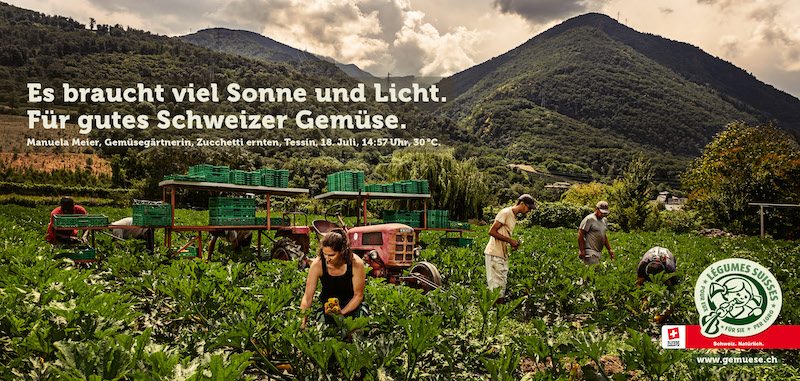 VSGP: Mit Gemüsebauern durchs Jahr