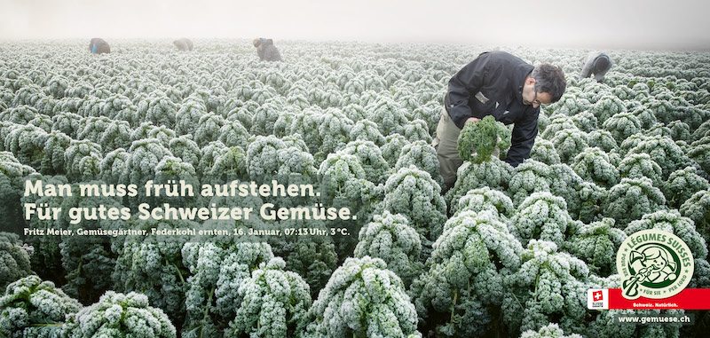 VSGP: Mit Gemüsebauern durchs Jahr